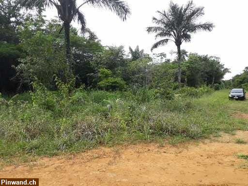 Bild 2: Brasilien 1'000 Ha Grundstück mit Rohstoffen zu verkaufen