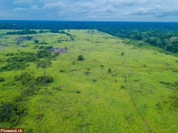 Bild 3: Brasilien 1'000 Ha Grundstück mit Rohstoffen zu verkaufen