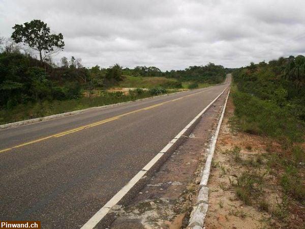 Bild 5: Brasilien 1'000 Ha Grundstück mit Rohstoffen zu verkaufen