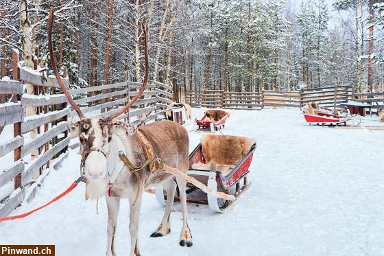 Bild 2: Besuch beim Weihnachtsmann in Rovaniemi Finnland