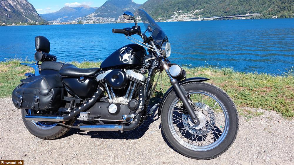 Bild 1: Occasion Harley-Davidson XLH Sportster 883 zu verkaufen