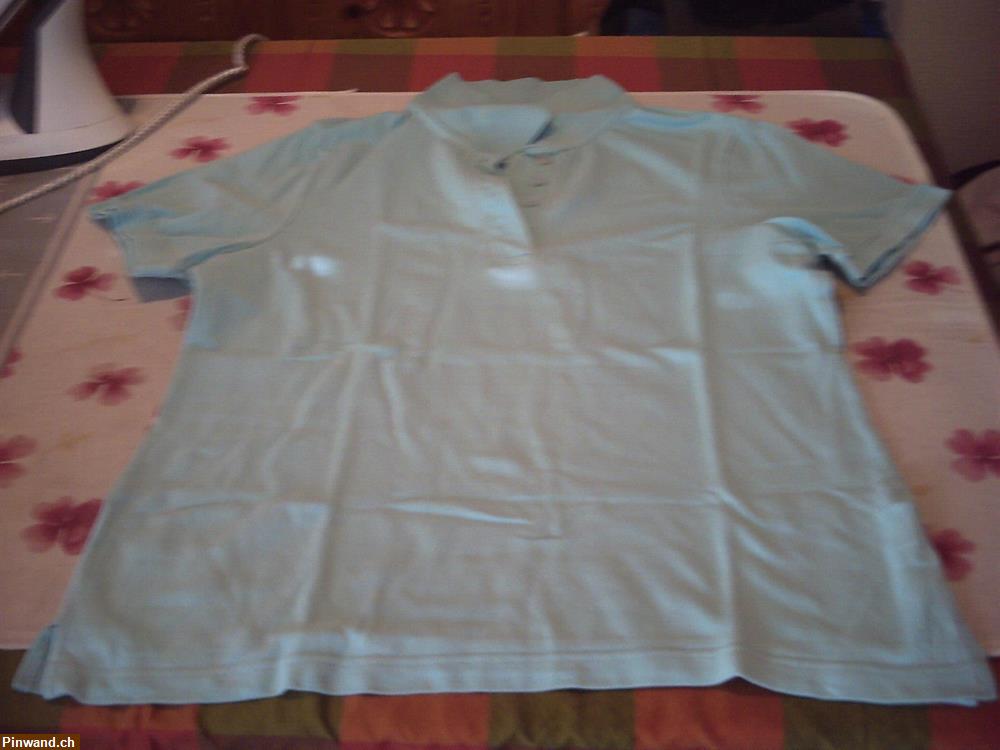 Bild 3: 4 Damen Poloshirt kurzarm Gr. 40 zu verkaufen
