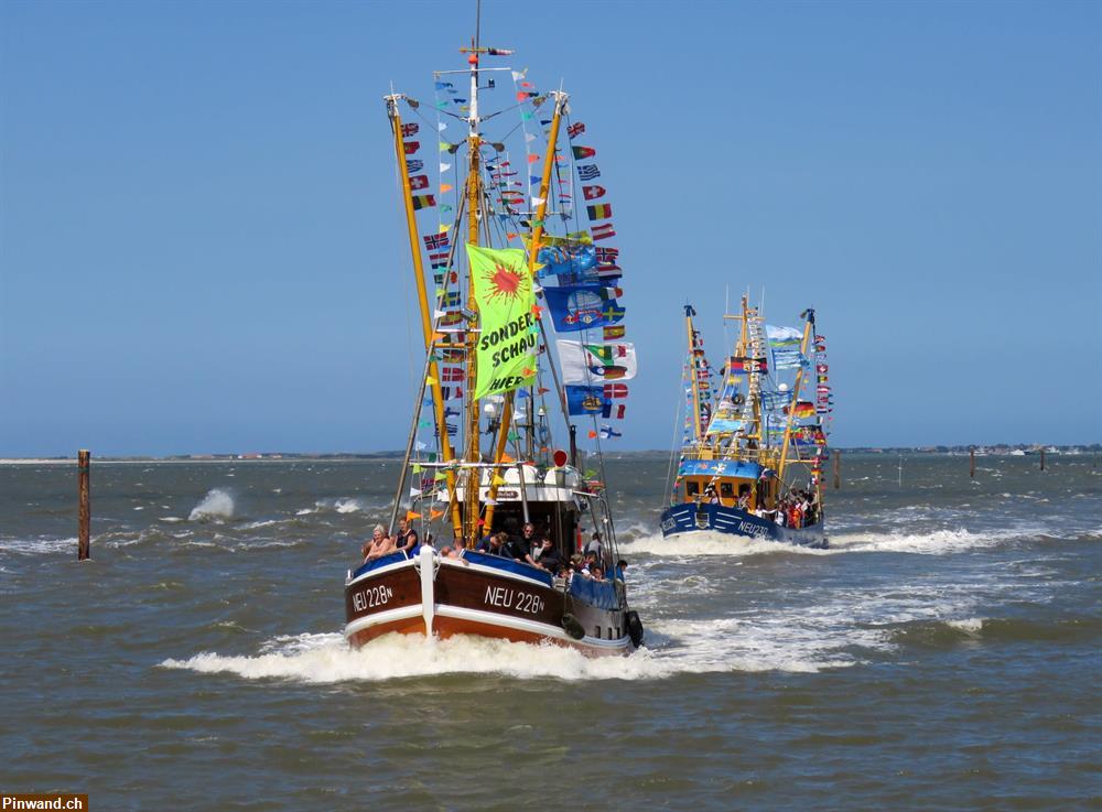 Bild 1: Ferienwohnungen in Ostfriesland zu vermieten