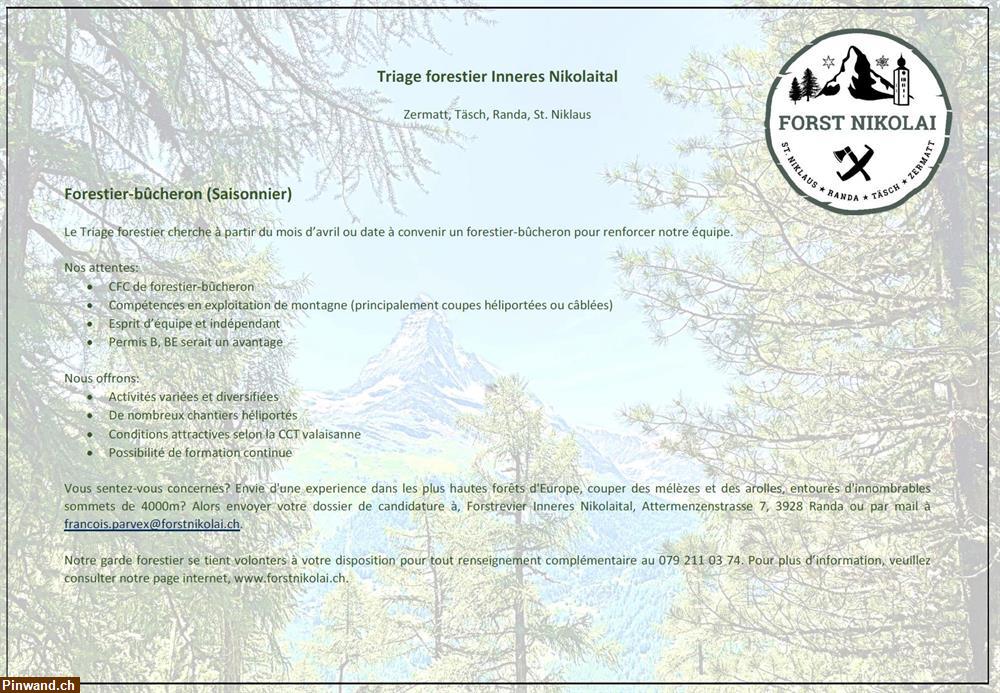 Bild 2: Forst Nikolai sucht gelernten Forstwart im Wallis