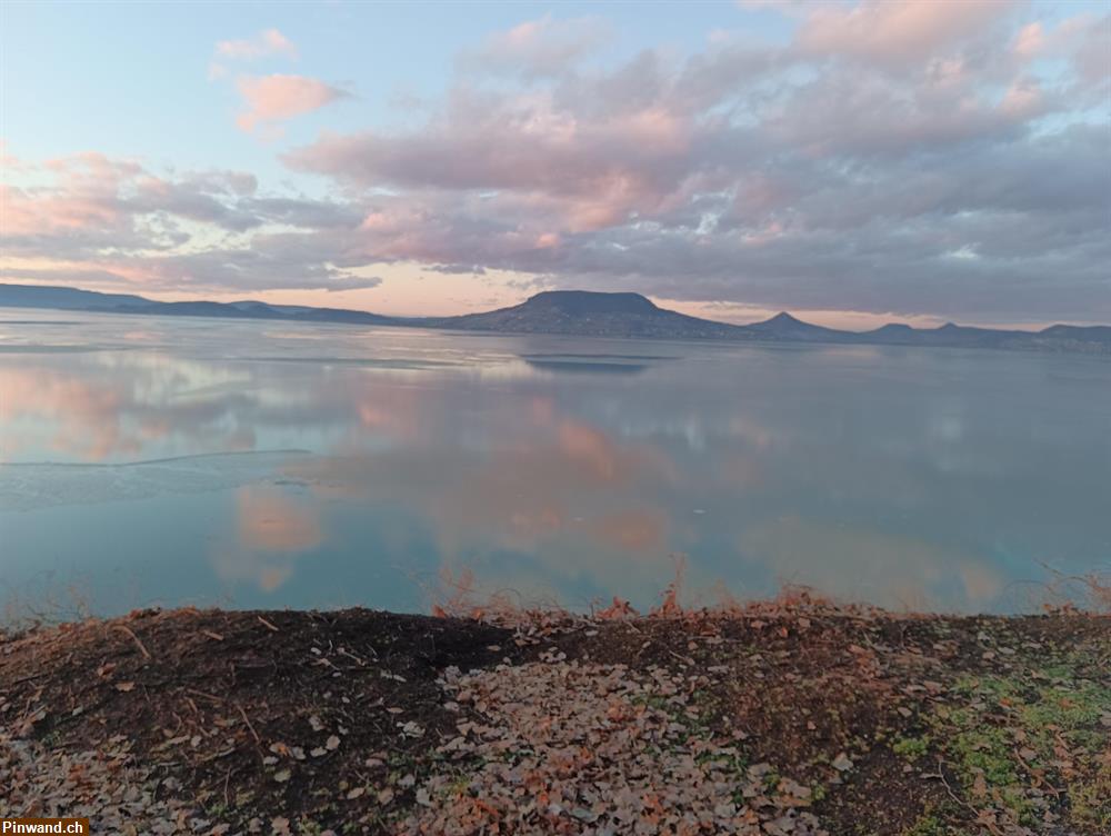 Bild 8: Ferienhaus in Ungarn am Plattensee zu vermieten