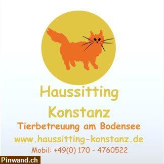 Bild 2: Liebevolle Katzenbetreuung im Raum Kreuzlingen TG