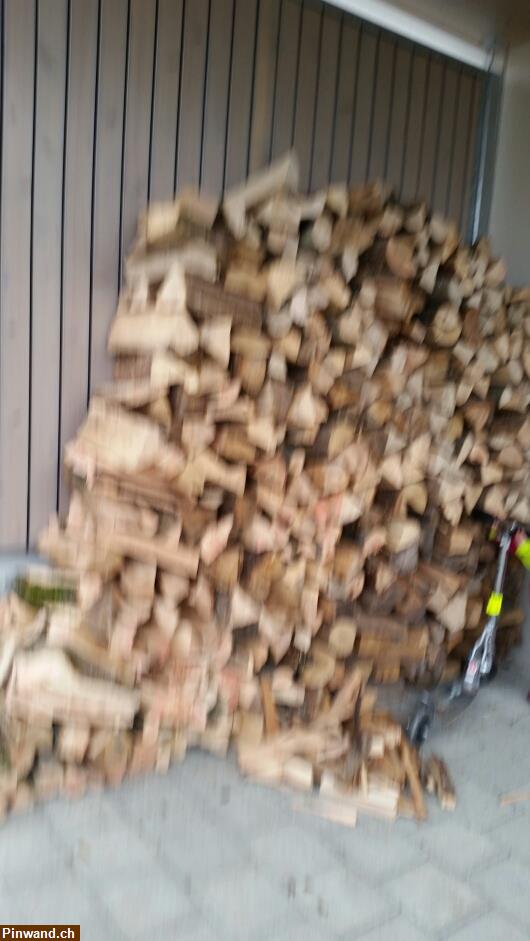 Bild 1: Chemineeholz aus Allschwilerwald zu verkaufen