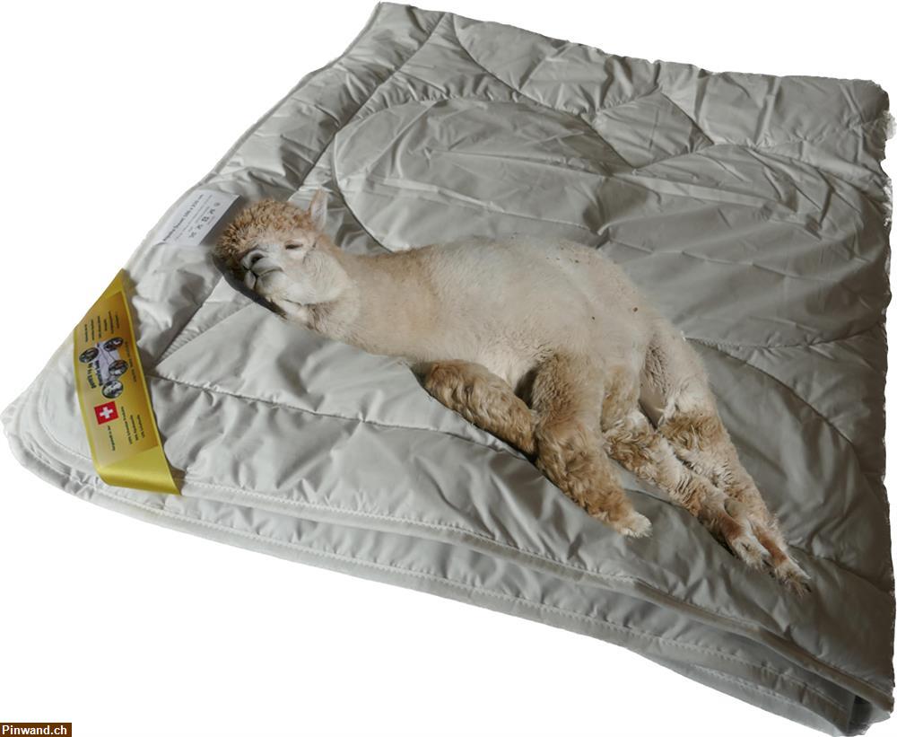 Bild 1: Alpaka Bettdecken 160 x 210cm zu verkaufen