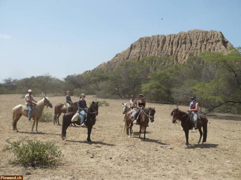 Bild 4: Schöne Reiterferien im Norden von Peru