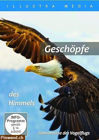 Bild 1: Geschöpfe des Himmels - DVD zu verkaufen