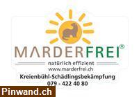Bild 2: Marderbekämpfung Marderabwehr und Marderschutz.