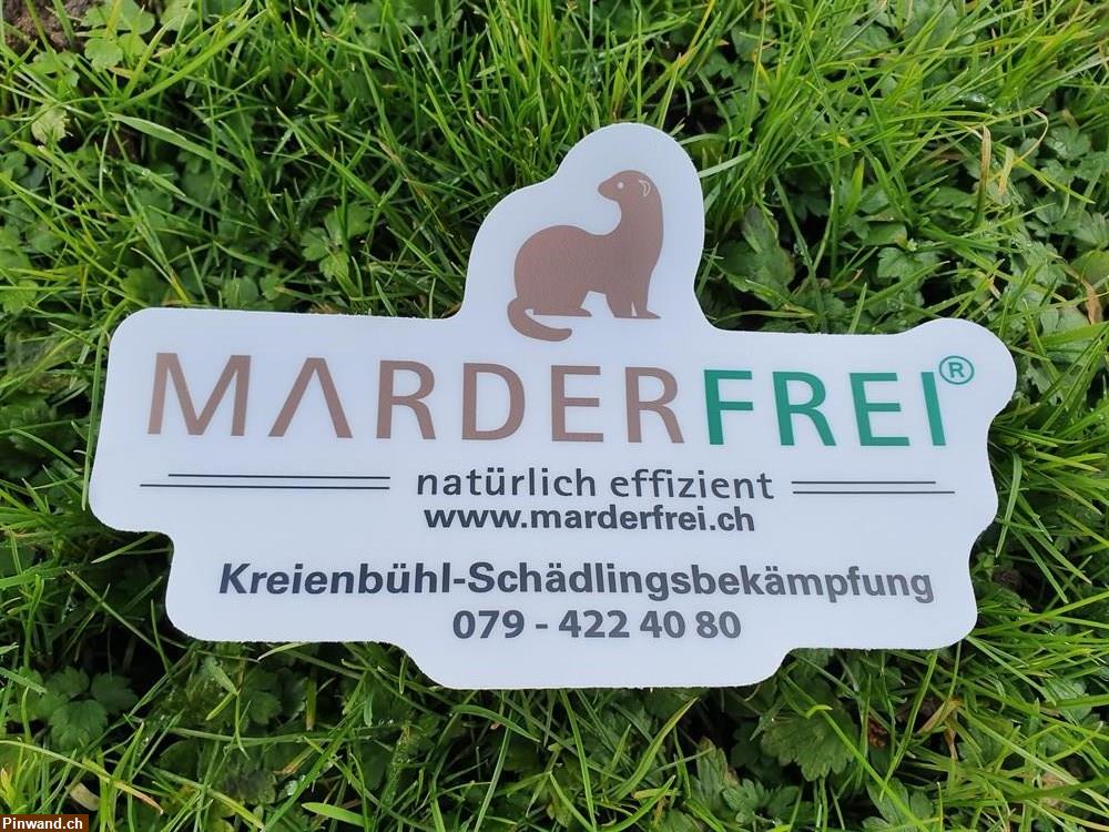 Bild 3: Marderbekämpfung Marderabwehr und Marderschutz.