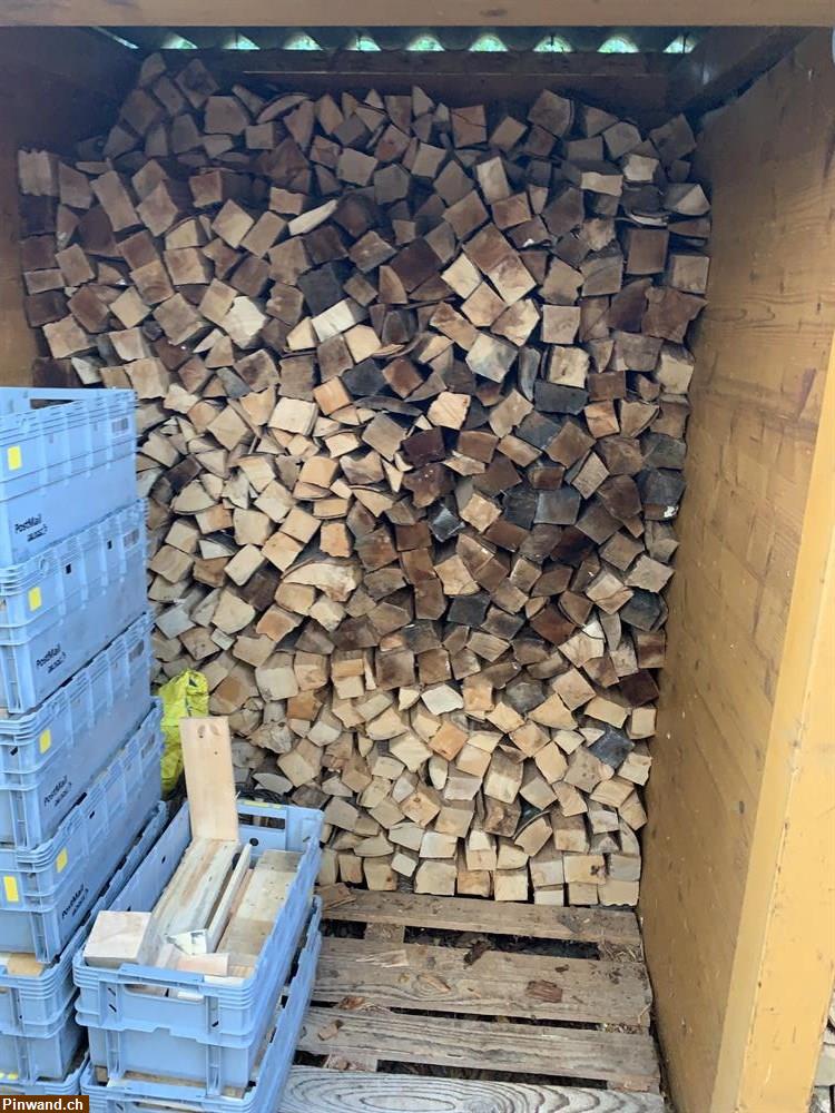 Bild 1: Chemine-Birkenholz aus Allschwilerwald zu verkaufen