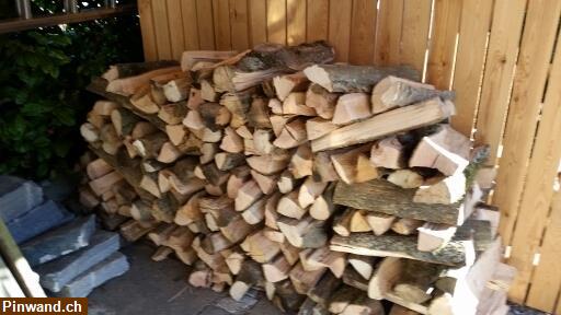 Bild 2: Chemine-Birkenholz aus Allschwilerwald zu verkaufen
