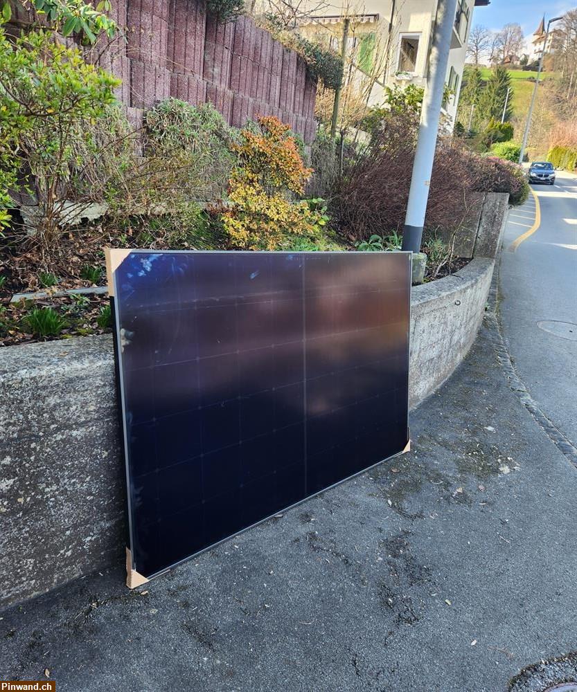 Bild 1: 36x Solarmodule Longi 435W Mono Full Black zu verkaufen