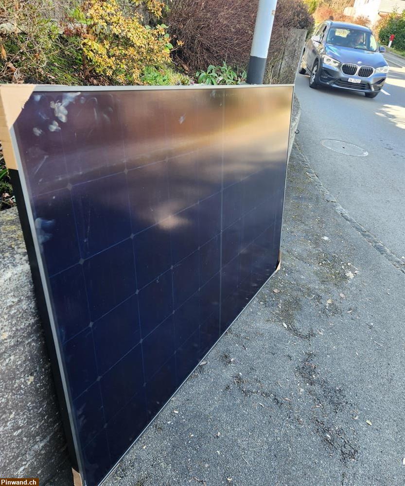 Bild 2: 36x Solarmodule Longi 435W Mono Full Black zu verkaufen