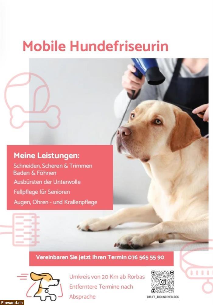 Bild 1: Mobile Hundepflege kommt zu Ihnen nach Hause