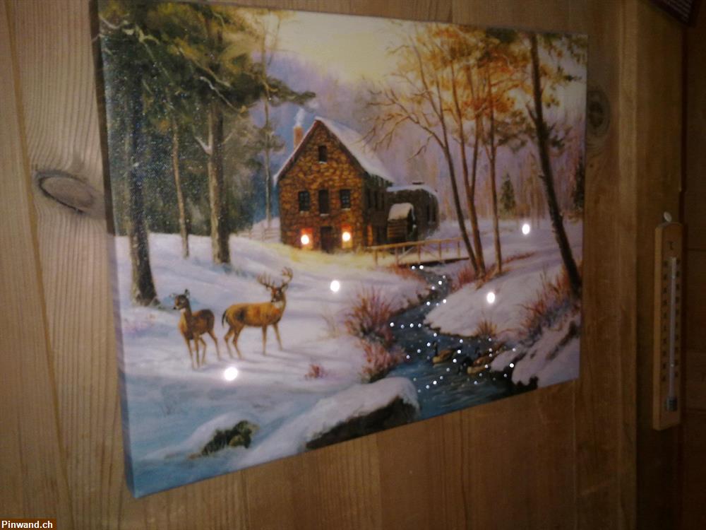 Bild 1: Wandbild mit Landschaft und Lichter zu verkaufen