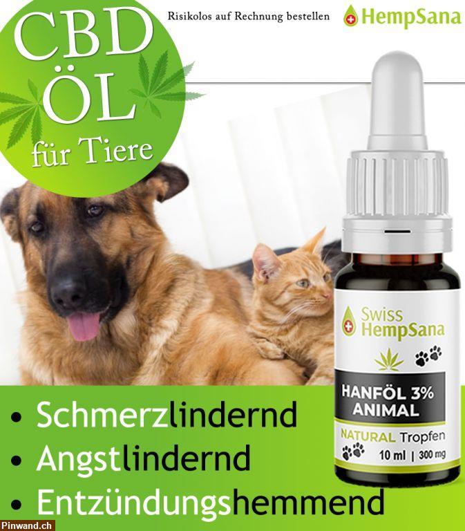 Bild 1: Hempsana - CBD Öl für Haustiere zu verkaufen