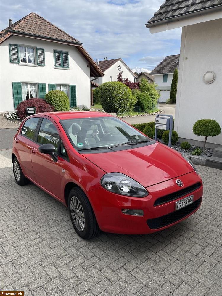 Bild 1: Occasion Fiat Punto 1.4 zu verkaufen