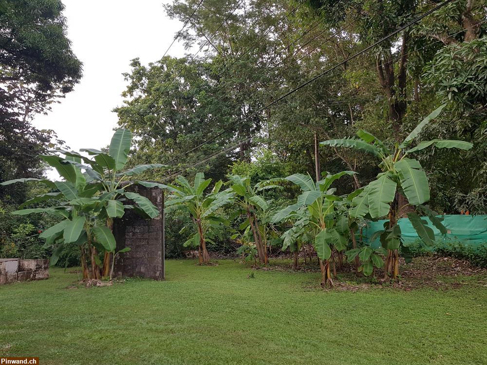 Bild 6: 2000m2 gemütlichem Haus 5 minuten vom wunderschönen Strand
