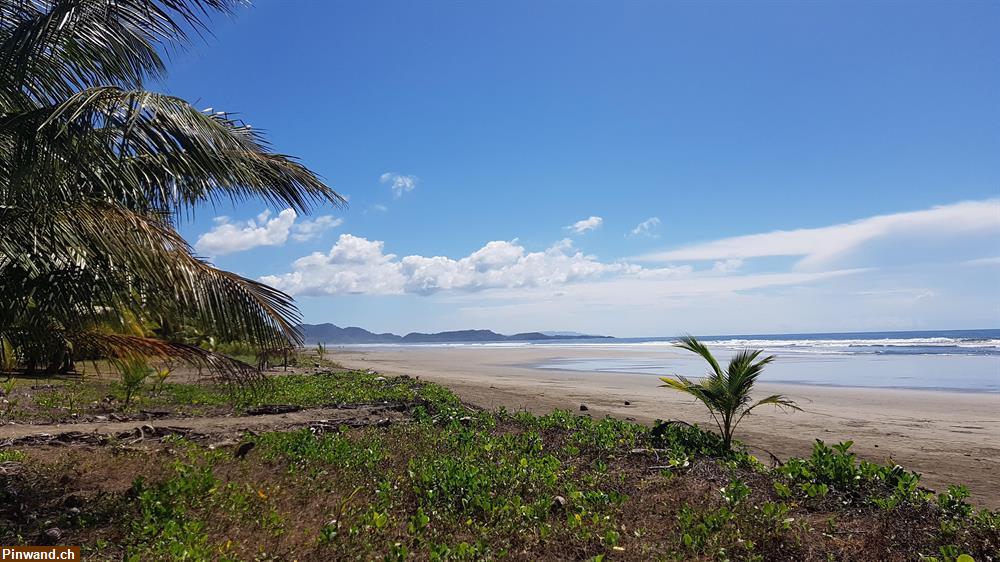 Bild 7: 2000m2 gemütlichem Haus 5 minuten vom wunderschönen Strand