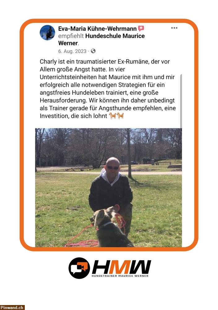 Bild 2: Hundetraining durch Videoanalyse