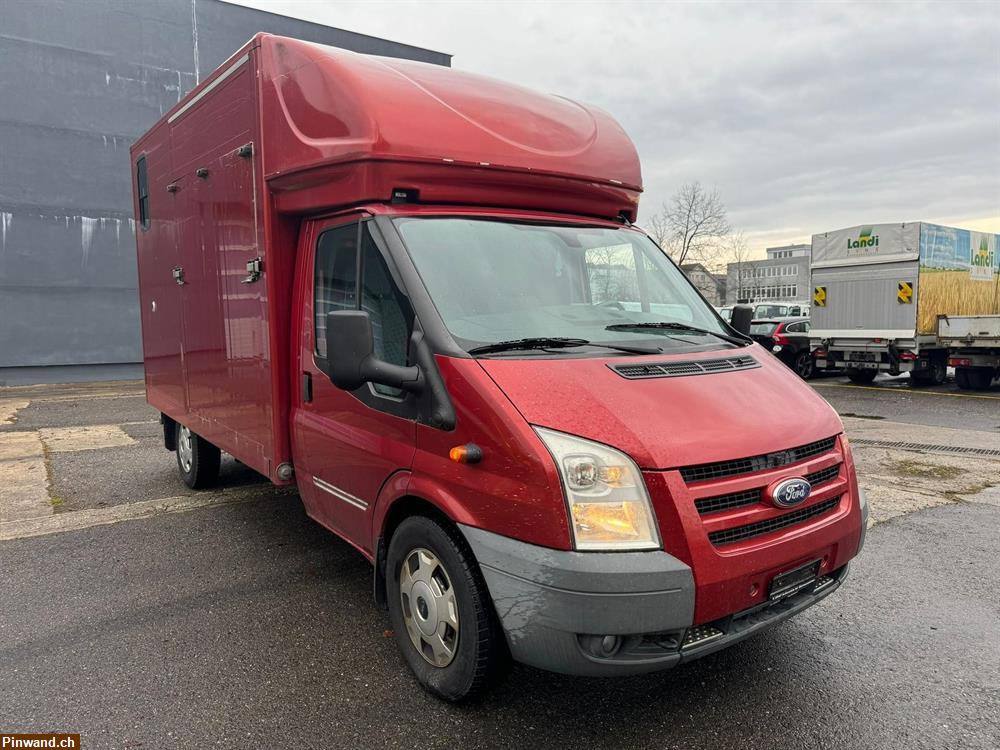 Bild 4: Verkauf: FORD Transit 4x4 Pferdetransporter