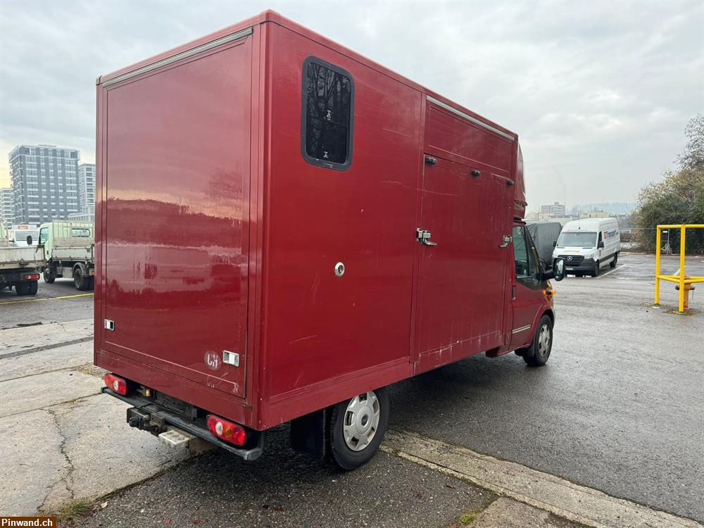 Bild 6: Verkauf: FORD Transit 4x4 Pferdetransporter