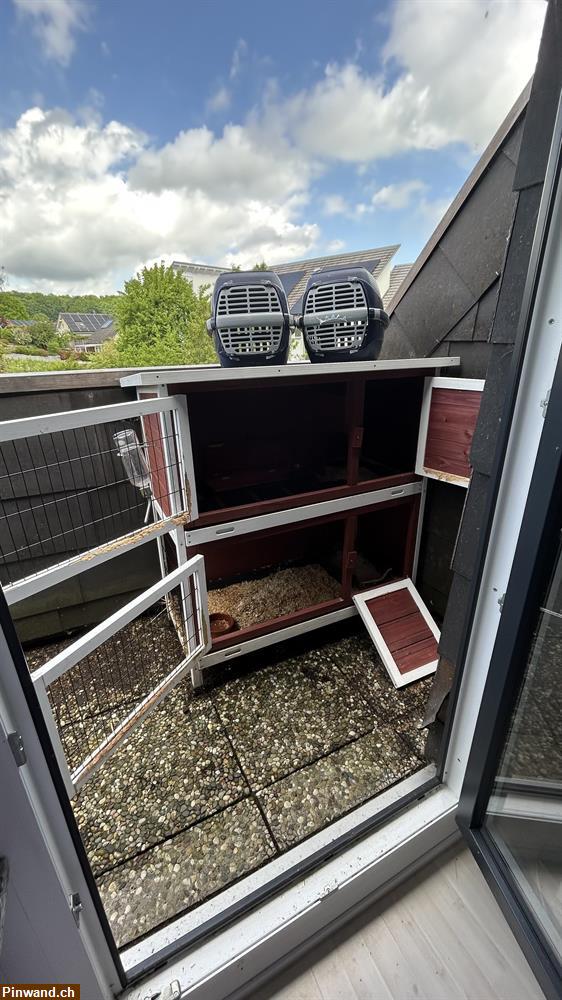 Bild 1: Hasenstall und Transportboxen zu verkaufen
