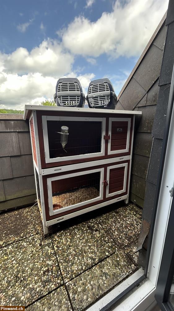 Bild 2: Hasenstall und Transportboxen zu verkaufen