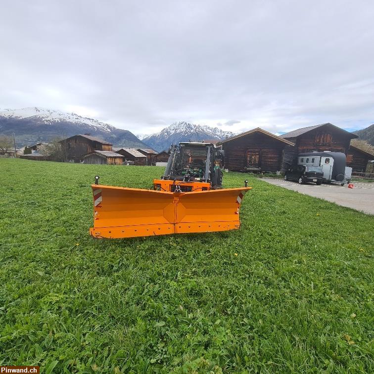 Bild 4: Hürlimann H 362 DT zu verkaufen