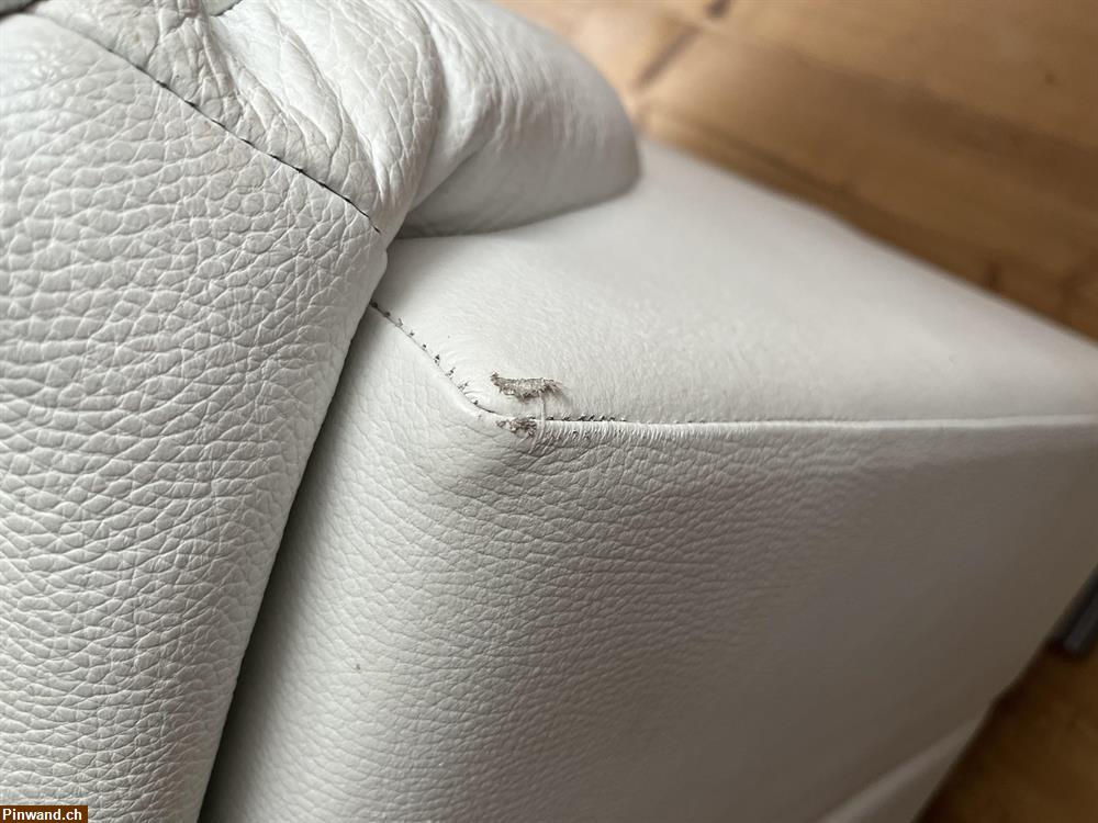 Bild 5: Sofa zu verkaufen