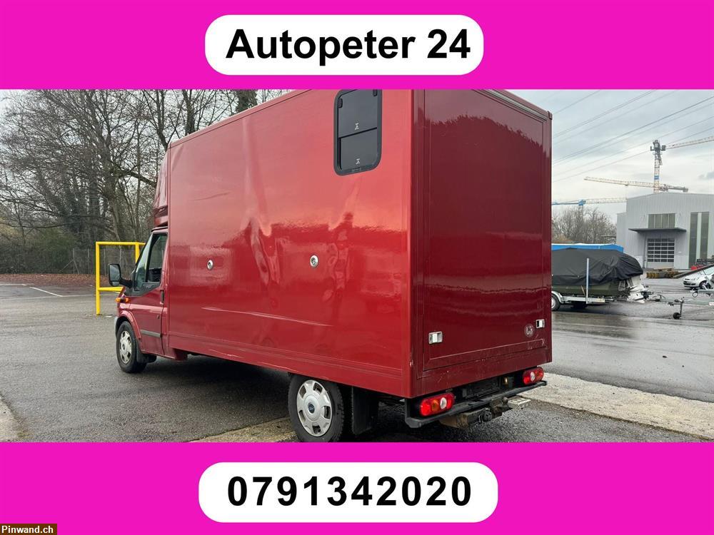 Bild 1: FORD Transit 4x4 Pferdetransporter