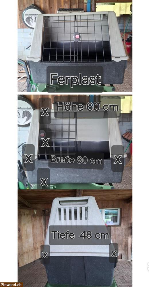 Bild 1: Hundebox von Ferplast zu verkaufen