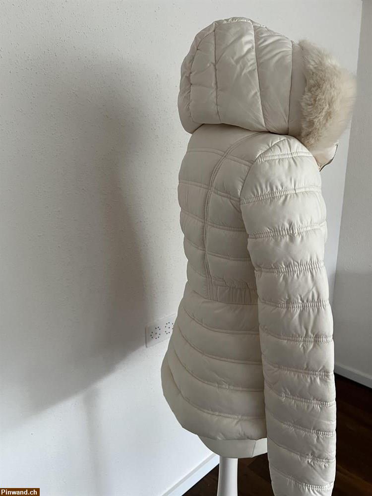 Bild 3: Verkauf: GUESS Damen Jacke Gr. S