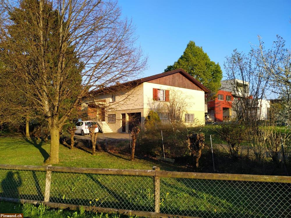 Bild 1: 1.5 Zi. Einliegerwohnung in Widnau SG