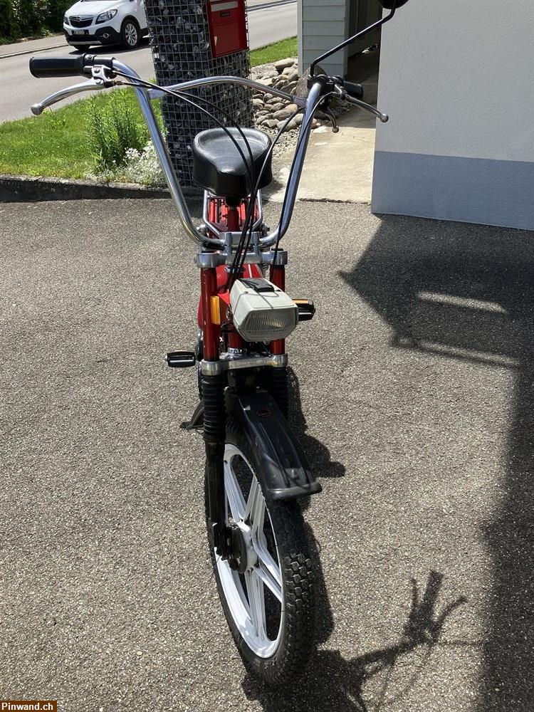 Bild 3: Occasion Mofa Sachs ALPA 503 Turbo