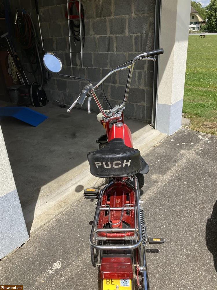 Bild 4: Occasion Mofa Sachs ALPA 503 Turbo