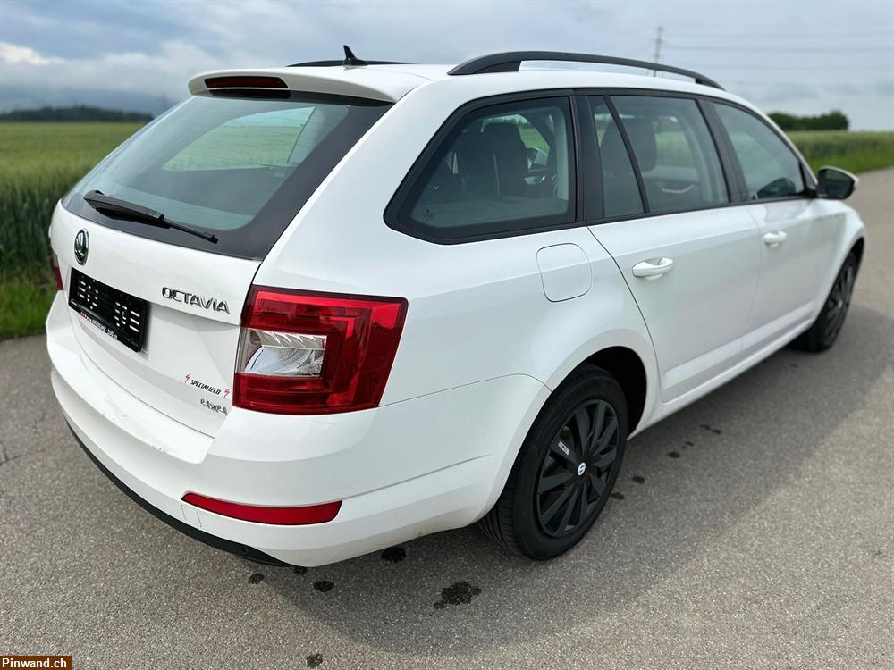 Bild 5: SKODA Octavia Combi 1.6 TDI Swiss Joy 4x4