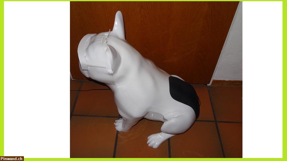 Bild 5: Französische Bulldogge Lautsprecher zu verkaufen