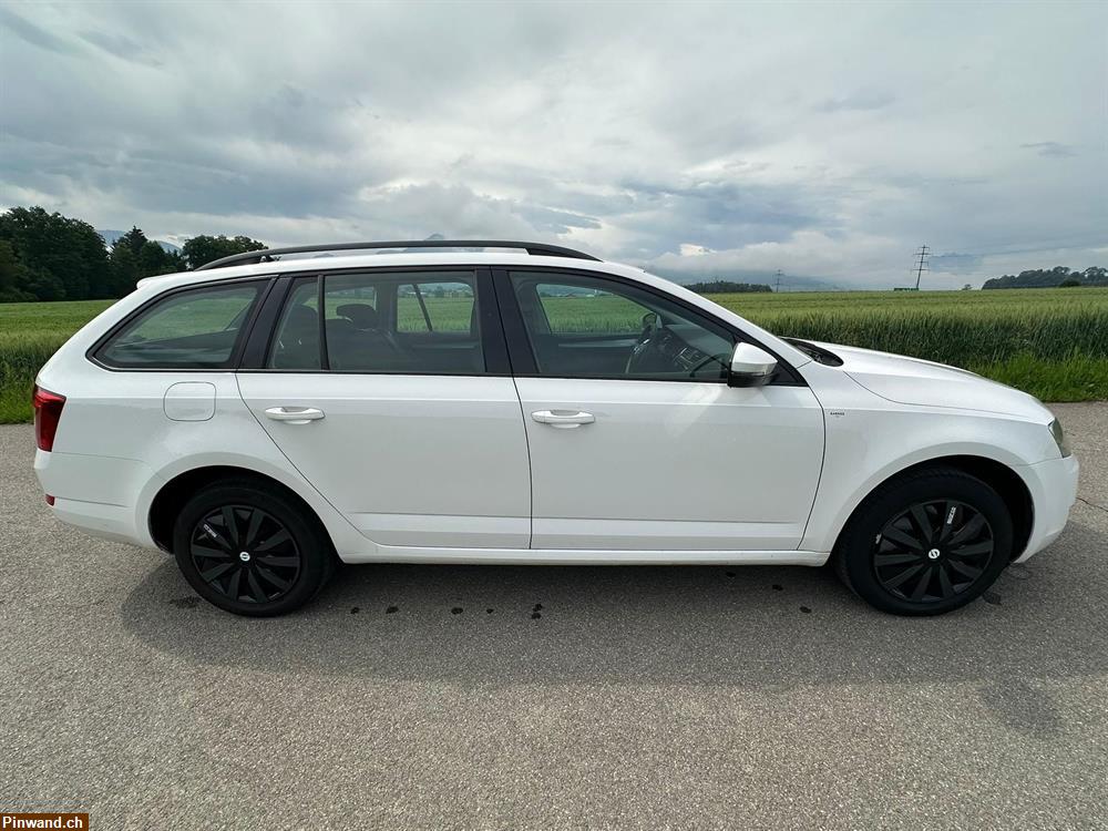 Bild 5: SKODA Octavia Combi 1.6 TDI Swiss Joy 4x4