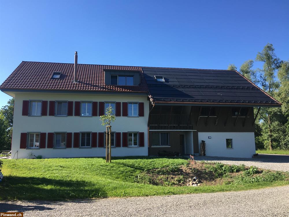 Bild 3: 6,5 Zi- Wohnung mit 3 Pferdeboxen zu vermieten