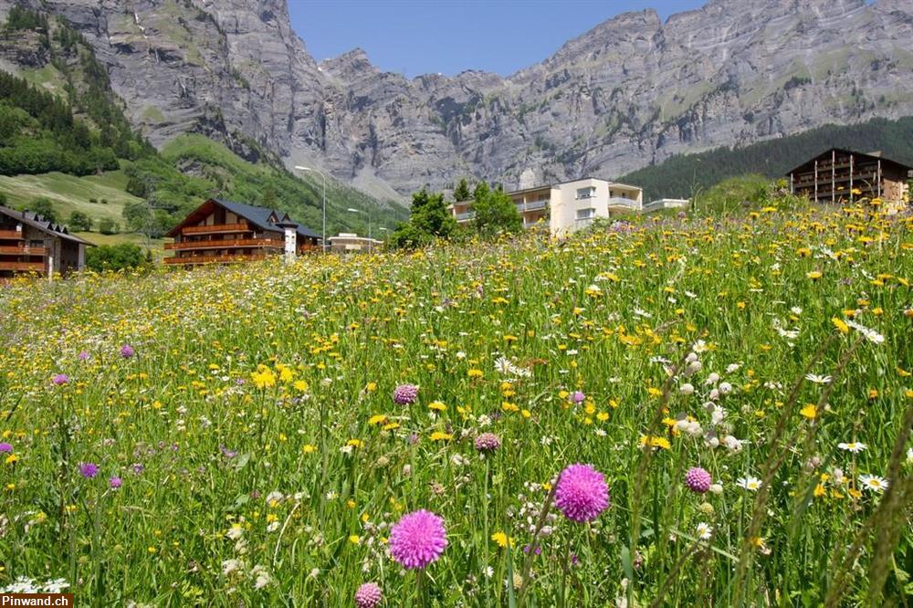 Bild 12: Verkauf: 2.5-Zimmerwohnung in Leukerbad VS