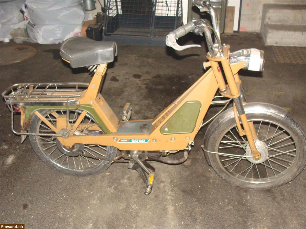 Bild 1: Solex Flash 6000 Braun zu verkaufen