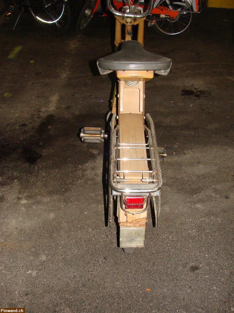 Bild 3: Solex Flash 6000 Braun zu verkaufen