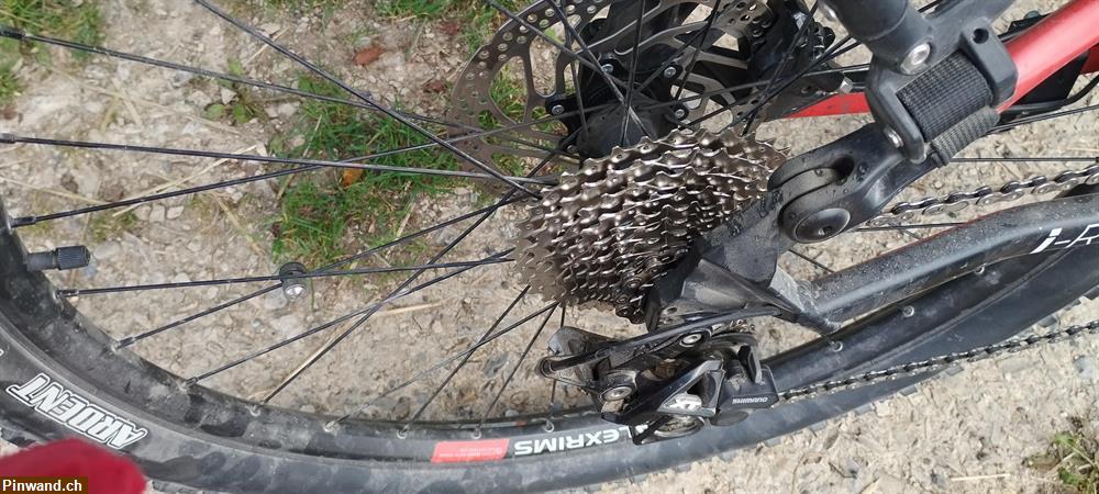 Bild 3: Fouly E-Mountainbike, Wheeler zu verkaufen