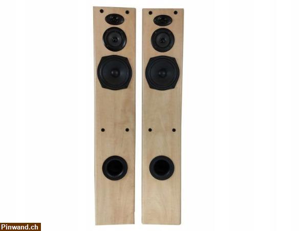 Bild 5: Hifi - Standlautsprecher Pioneer Helles Holz