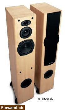 Bild 6: Hifi - Standlautsprecher Pioneer Helles Holz