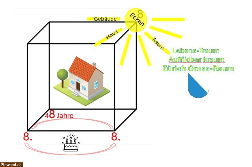 Bild 1: SUCHE Wohnung Atelier Raum - Traum - Zürich